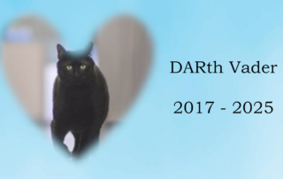 DARth Vader, 2017-2025